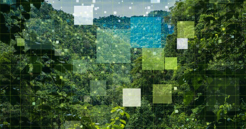 trees with digital TNFD Proposes Tiered Approach to Disclosure Metrics