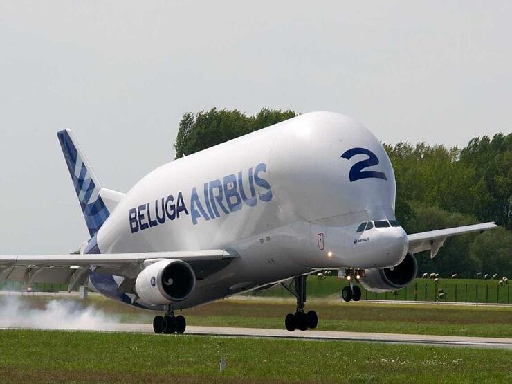 Beluga Airbus