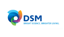 Royal DSM logo